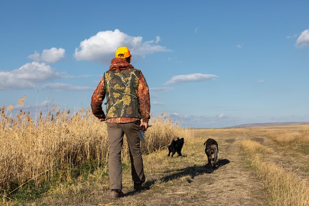Caçador de homem maduro com arma enquanto caminhava no campo com seus cães