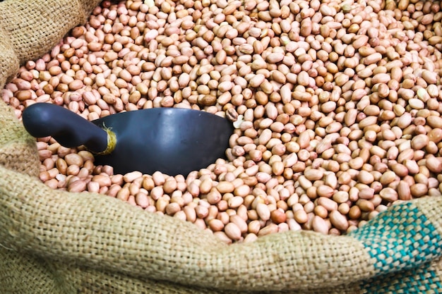 Cacahuetes en bolsa de lona