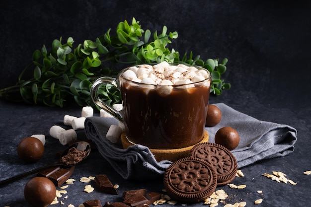 Cacao de avena caliente con malvavisco y galletas con trocitos de chocolate y dulces Orientación horizontal cerrar