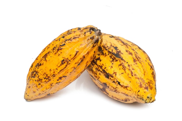 Cacao fruta cruda cacao en grano vaina de cacao sobre fondo blanco.