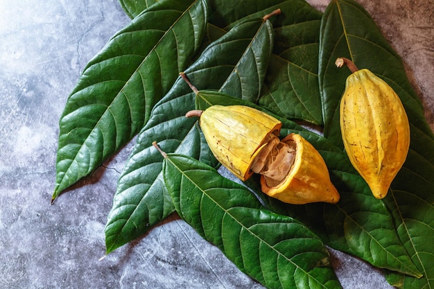 Cacao Orgánico Fruto Del Árbol De Cacao