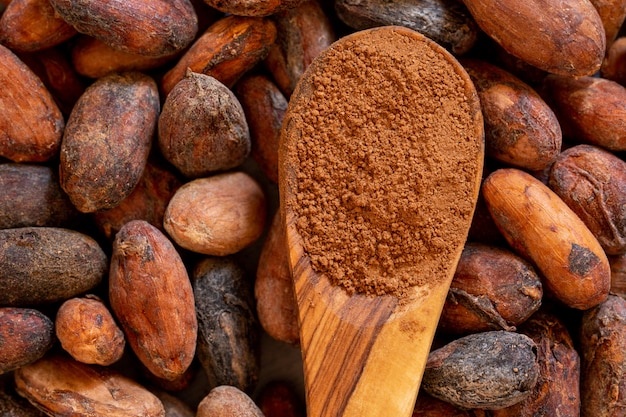 Cacao en polvo en una cuchara de madera.