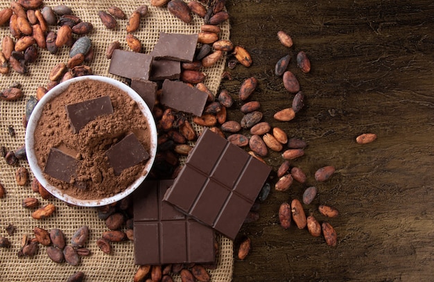 Cacao en polvo con trozos de chocolate sobre cacao en grano crudo.