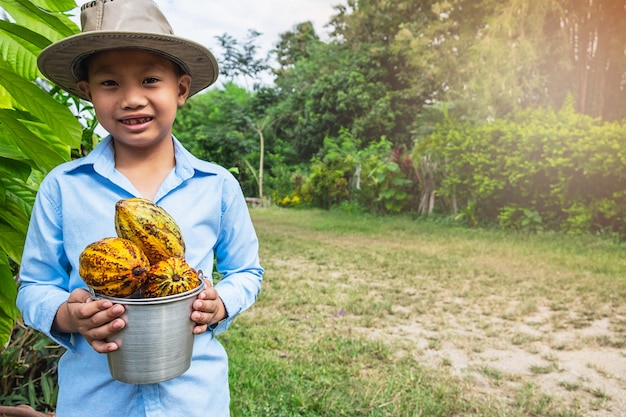 Cacao recién cosechado de los árboles de cacao.