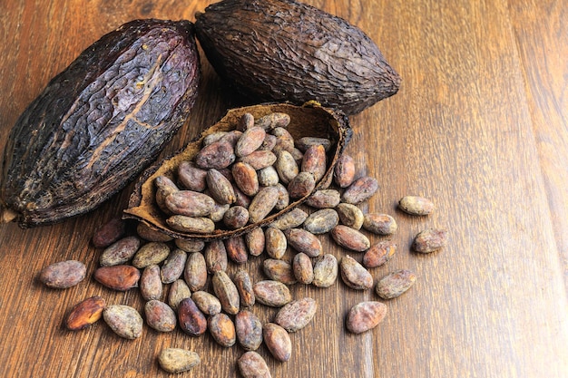 Cacao seco y grano de cacao seco sobre mesa de madera