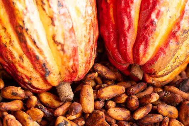 Cacao y semillas en un recipiente de paja