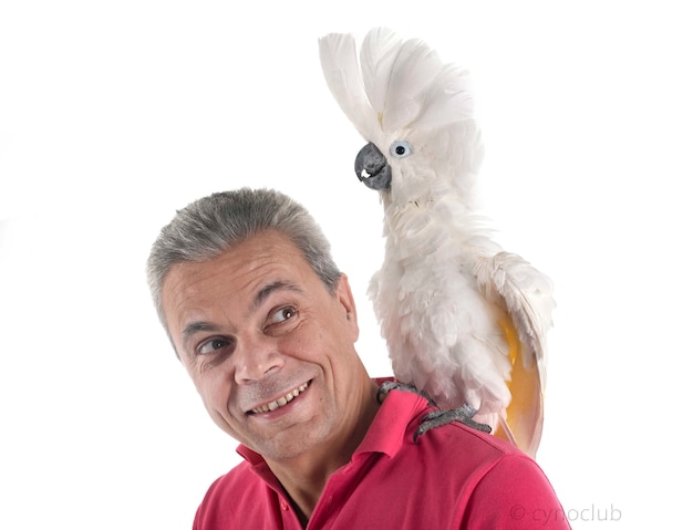 Cacatua branca e homem