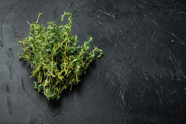 Cacho de tomilho verde fresco, em fundo preto com espaço de cópia para o texto