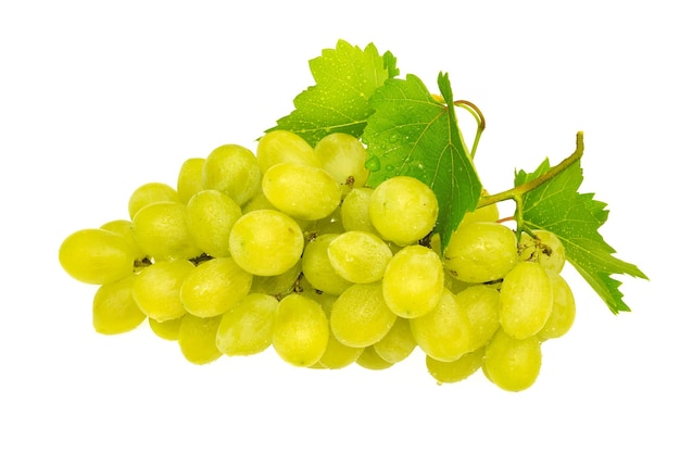 Cacho de uvas frescas