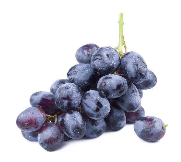 Cacho de uvas maduras azul-escuras isoladas