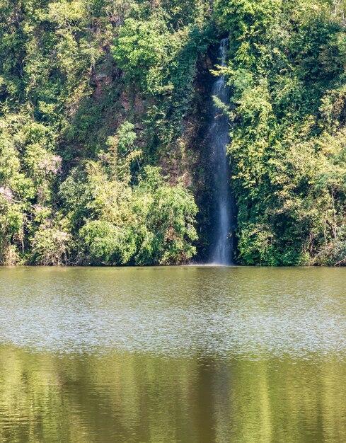 Foto cachoeira alta pequena