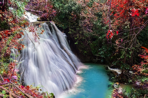 Cachoeira bonita