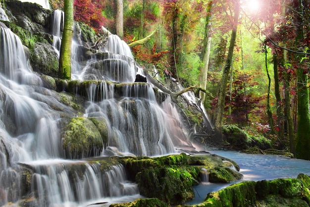 Cachoeira bonita