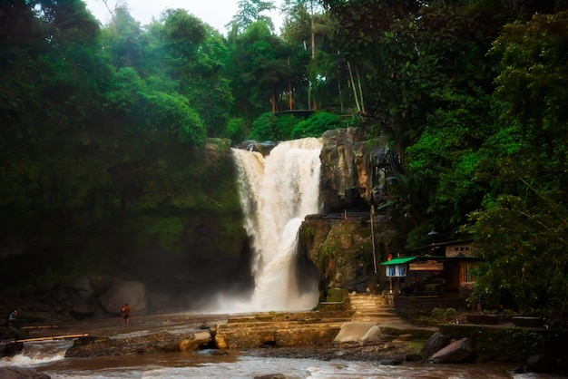 Cachoeira cênica na floresta tropical na ilha Indonésia de Bali