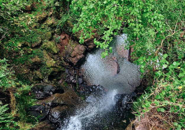 Foto cachoeira clara em vista da selva