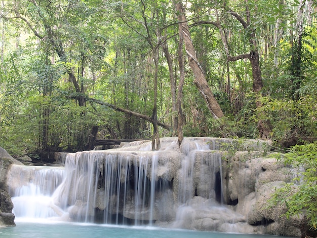 Cachoeira com água fluindo ao redor