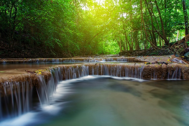 Cachoeira com árvore na floresta profunda, kanchanaburi, tailândia