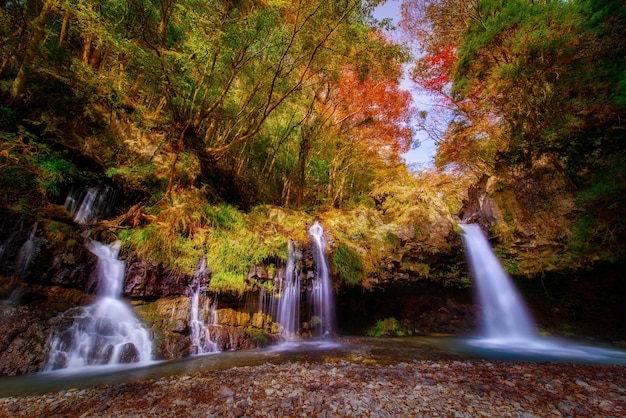 Cachoeira com folhagem de outono em Fujinomiya Japão