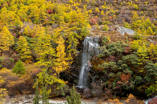 Cachoeira com folhas de outono na reserva natural de Yading, Sichuan, China