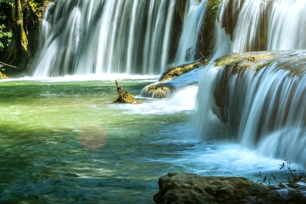 Foto cachoeira com pura limpeza na floresta tropical.