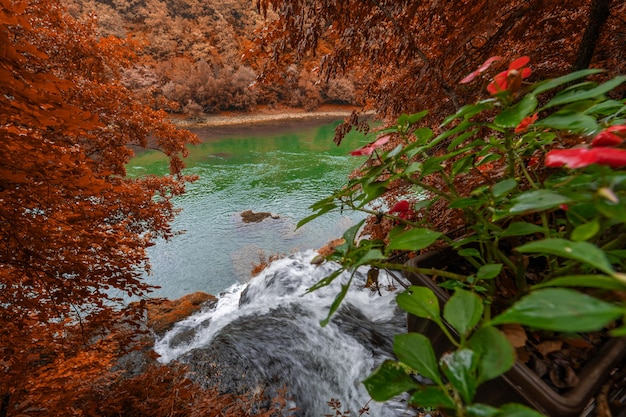 Cachoeira da floresta de outono