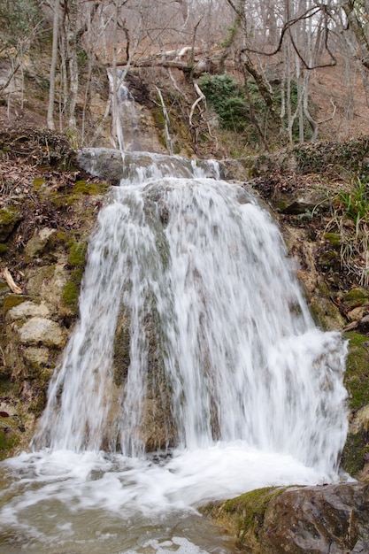 Cachoeira da floresta de primavera com muitos riachos