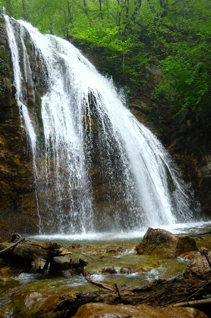 Cachoeira da floresta e pedras cobertas de musgo