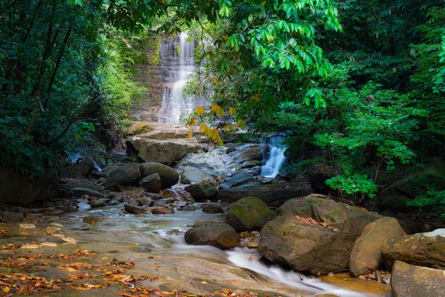 Cachoeira da floresta tropical de bornéu