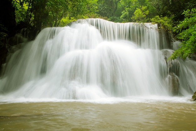 Cachoeira da floresta tropical