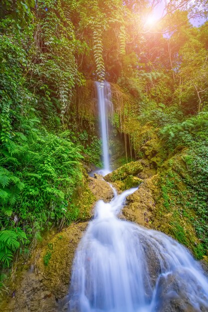 Cachoeira da paisagem