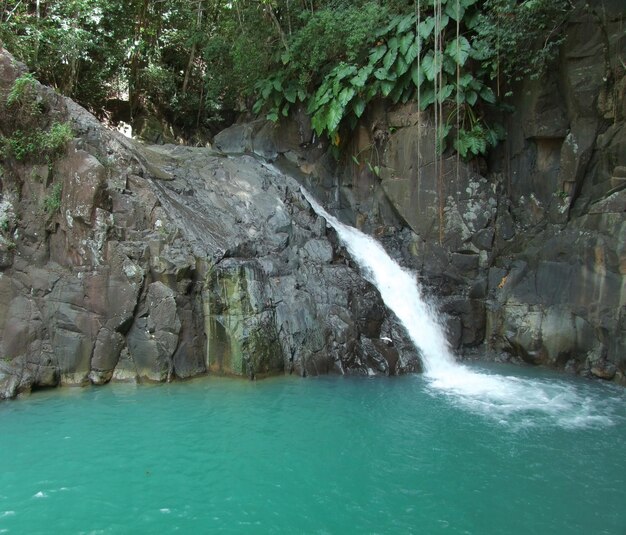 Foto cachoeira das caraíbas