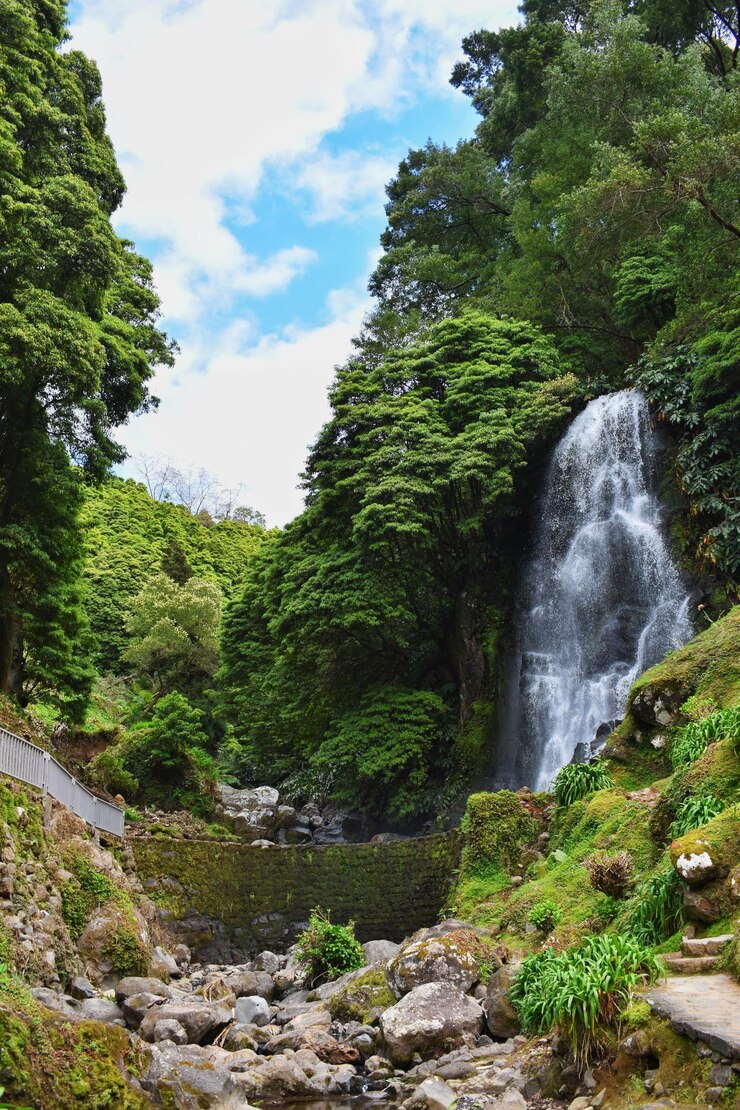 Foto cachoeira de água no meio da natureza