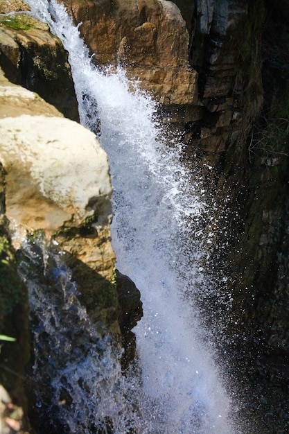 Cachoeira de alta montanha na floresta escura dos Cárpatos