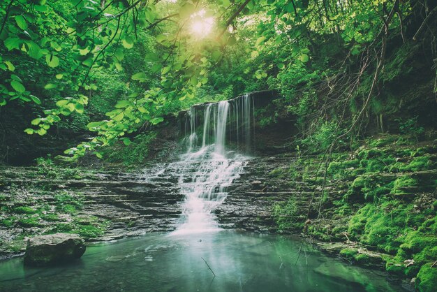 Cachoeira de alta montanha