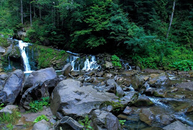 cachoeira de montanha e rochas na floresta nos Cárpatos na Ucrânia