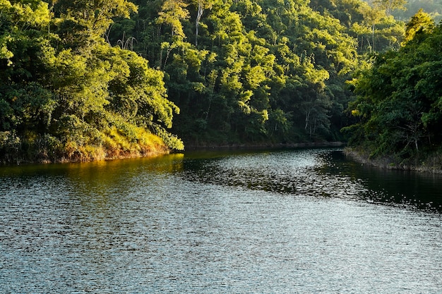 Cachoeira de montanha floresta natural na tailândia