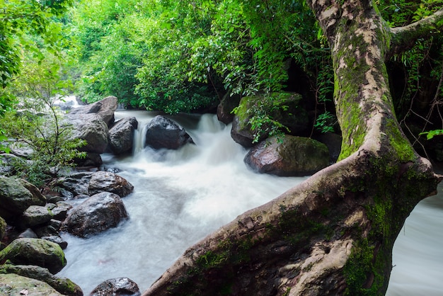 Cachoeira de Nangrong na província de nakhon nayok