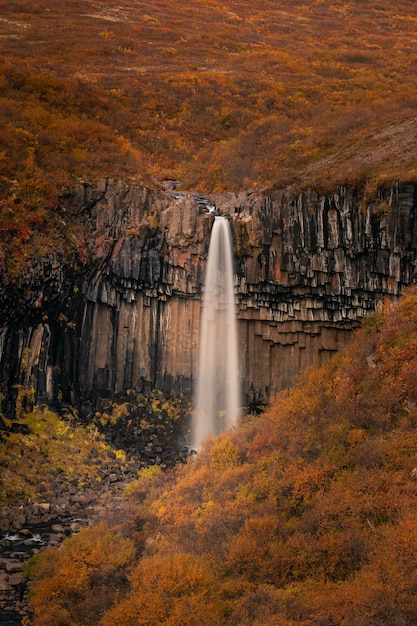 Cachoeira de Svartifoss no parque nacional de Skaftafell no sul da Islândia.