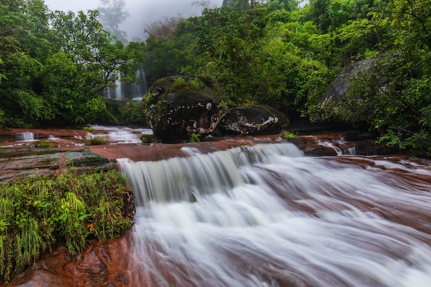 Cachoeira de Tad-Wiman-Thip, cachoeira bonita na província de Bung-Kan, Tailândia.