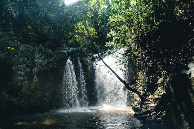 Cachoeira de viagem em uma floresta tropical durante o dia