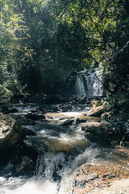 Cachoeira de viagem em uma floresta tropical durante o dia