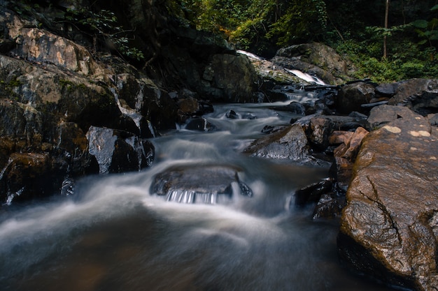 Cachoeira do córrego é belo ambiente na floresta tropical