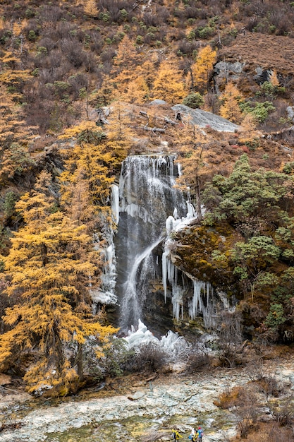 Cachoeira do gelo na reserva natural de yading, china