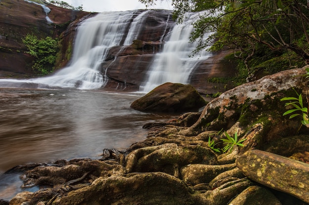 Cachoeira do jato-Sri, cachoeira bonita na província de Bung-Kan, Tailândia.