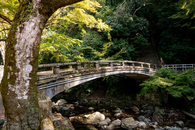 Cachoeira do parque minoh. osaka, japão