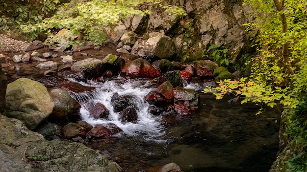 Cachoeira do parque minoh. osaka, japão