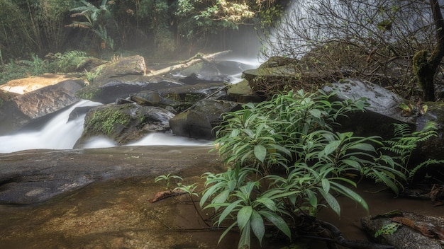 Cachoeira do penhasco de rocha natural exótica