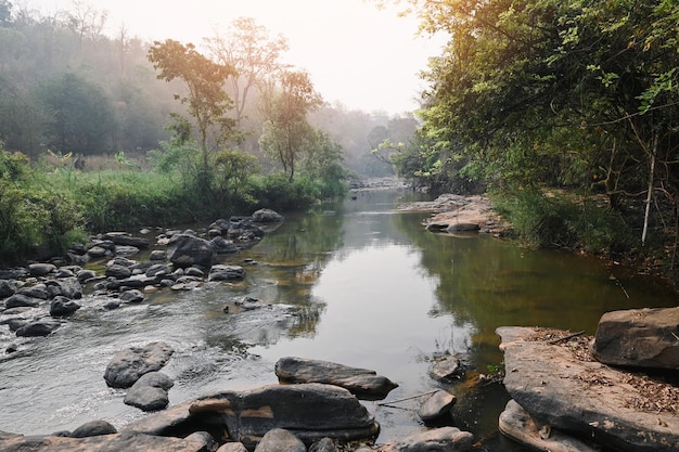 Cachoeira do rio na paisagem da floresta bela natureza fluxo de água com pedras na floresta tropical pequena cachoeira da montanha água fluindo e água cristalina no rio da montanha com árvore