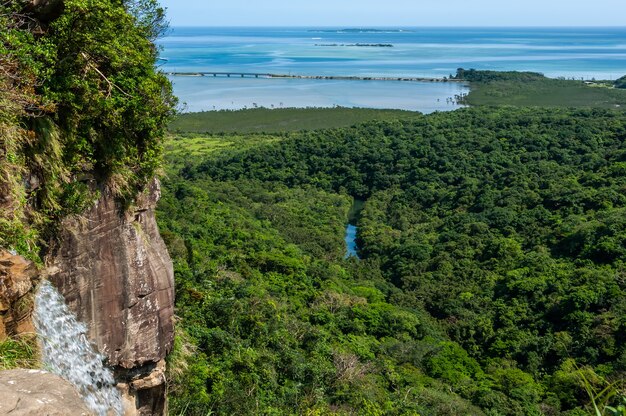 Cachoeira do rio pinaisara fluindo entre manguezal gradiente de floresta azul mar ilha de iriomote