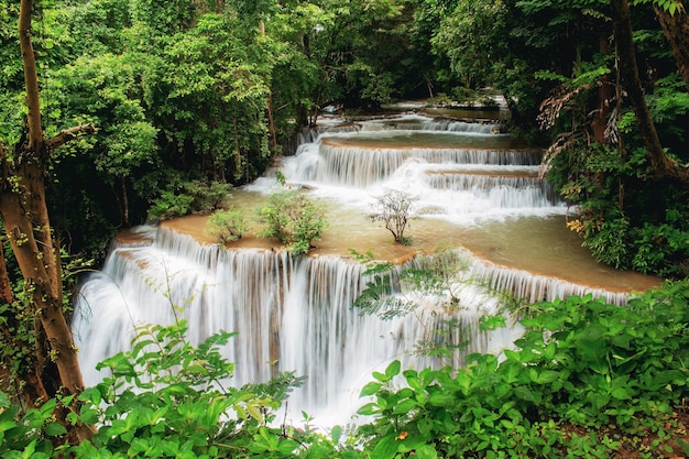 Cachoeira e árvore com belas